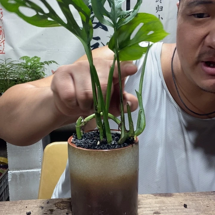 退款拉黑一物一拍346