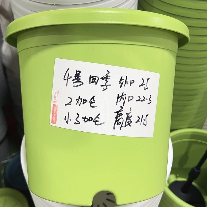 特价4号四季口25高21.5白色无托8只