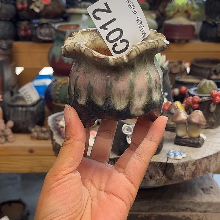 要不要这样对你这么012
