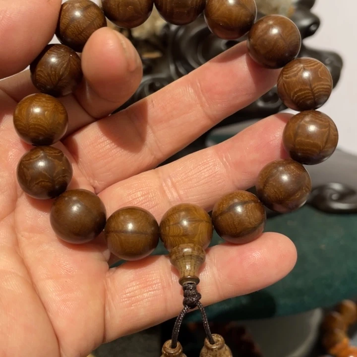 柏木（崖柏）1.5六道木串