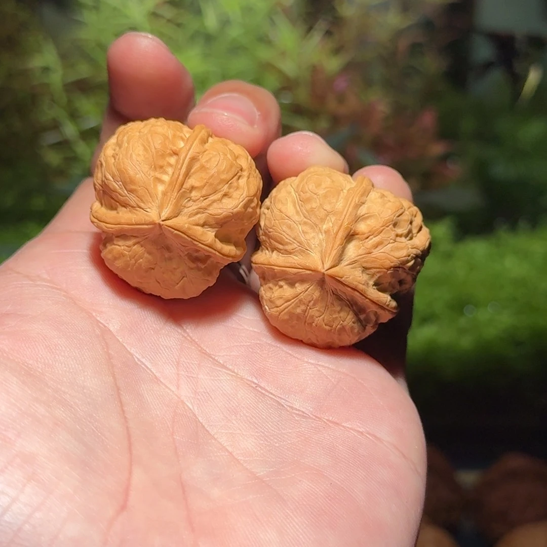 688号铁核桃三棱文玩核桃