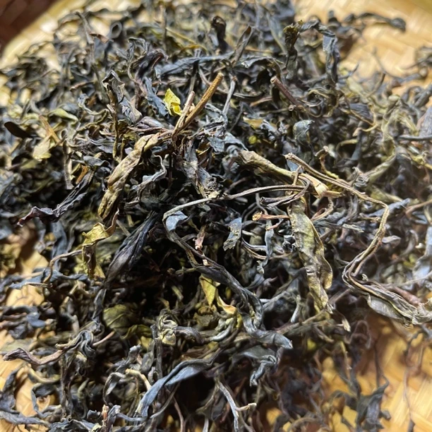 2023年野生生茶春茶 1月12【54号】