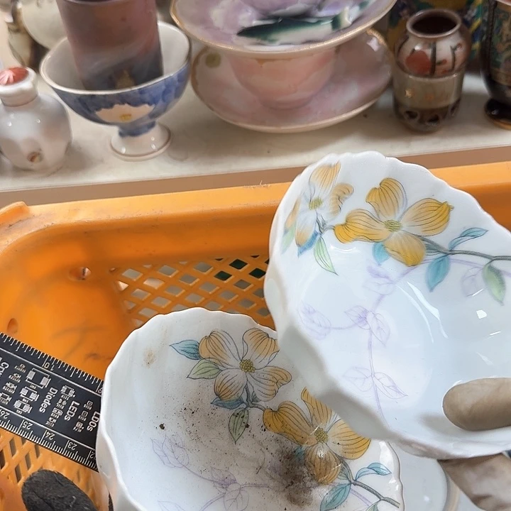 碗开播啦…开播啦