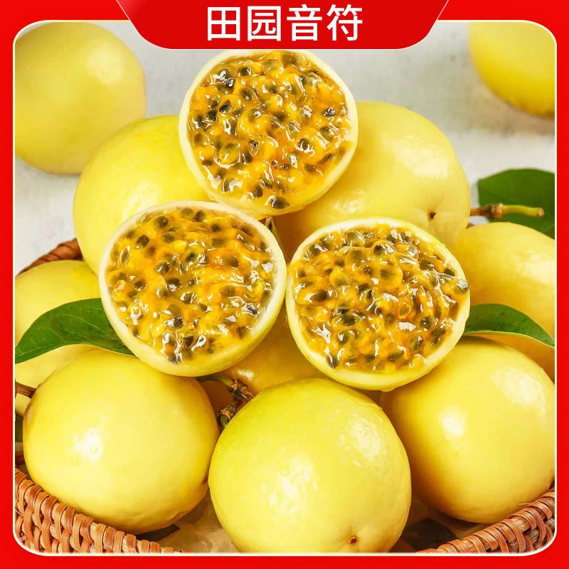 【胡鲜森】海南钦蜜9号黄金百香果10颗15颗 单果70-90g/90-110g