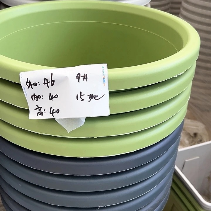 四季盆9#果绿色4个无托