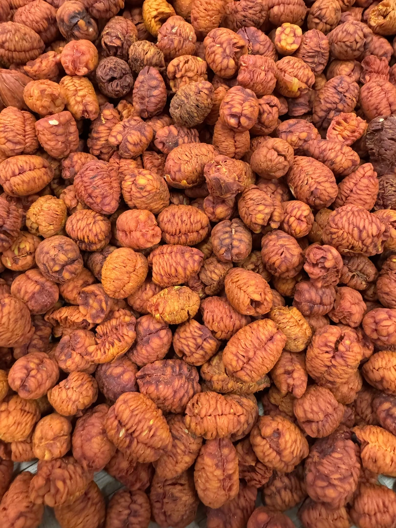 【少宇补贴福利】夏至枸杞-龙鳞果