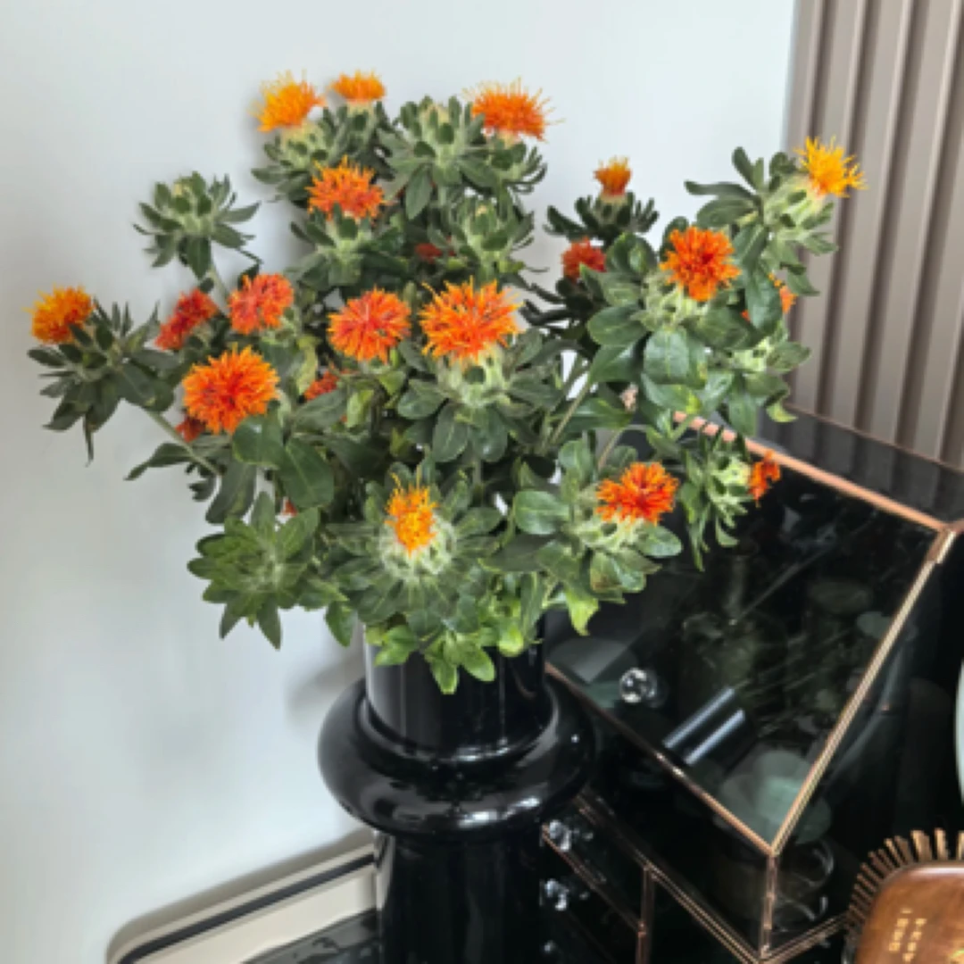 【只发新疆】鲜花橙菠萝一扎（2支内损伤坏不赔付）
