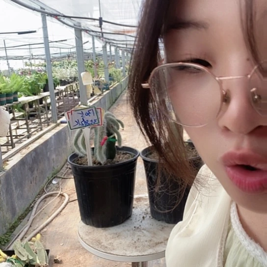1305脱土发货无售后