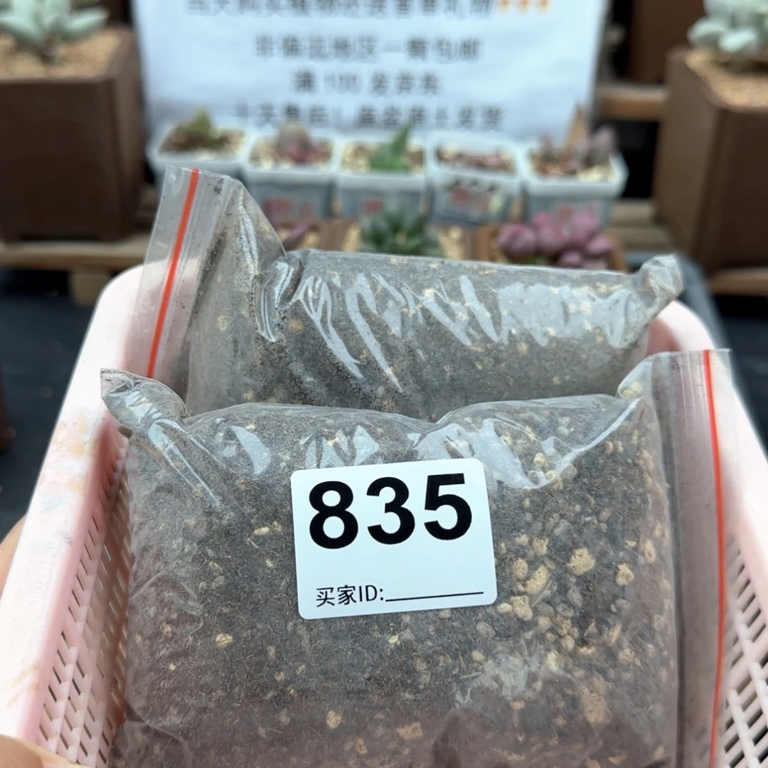 吉*835土2包多肉植物