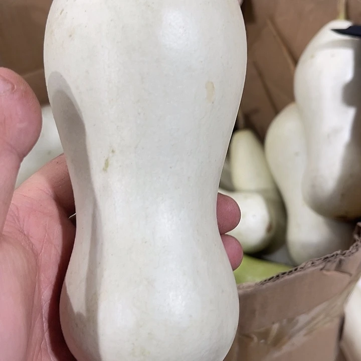 非洲紫檀（红花梨）用****7