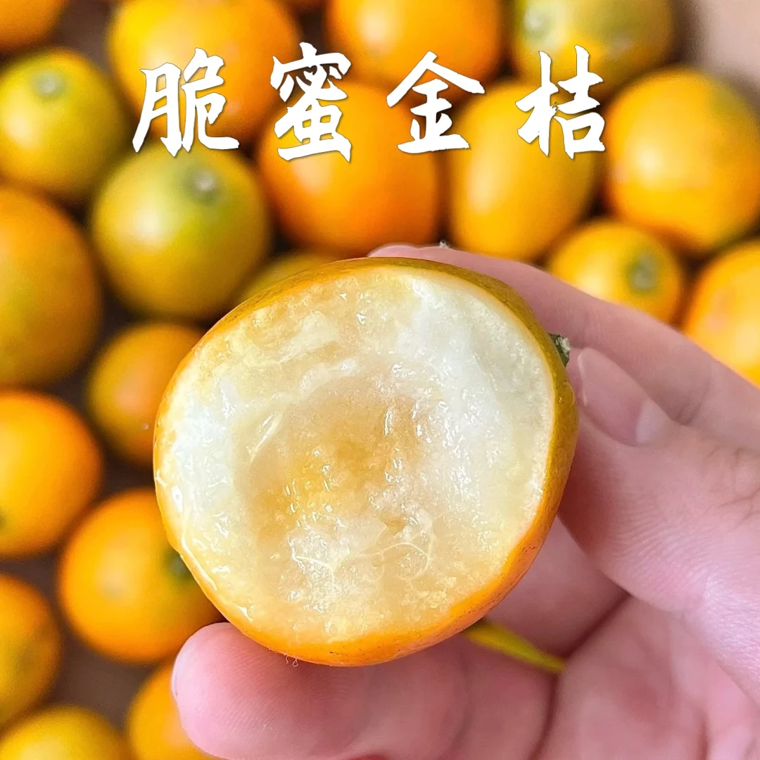 广西脆皮金柑：750g