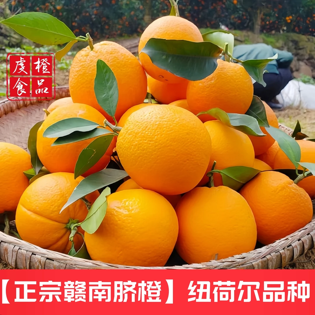 邮政发货【正宗赣南脐橙】5斤江西赣州纽荷尔脐橙当季水果新鲜采摘