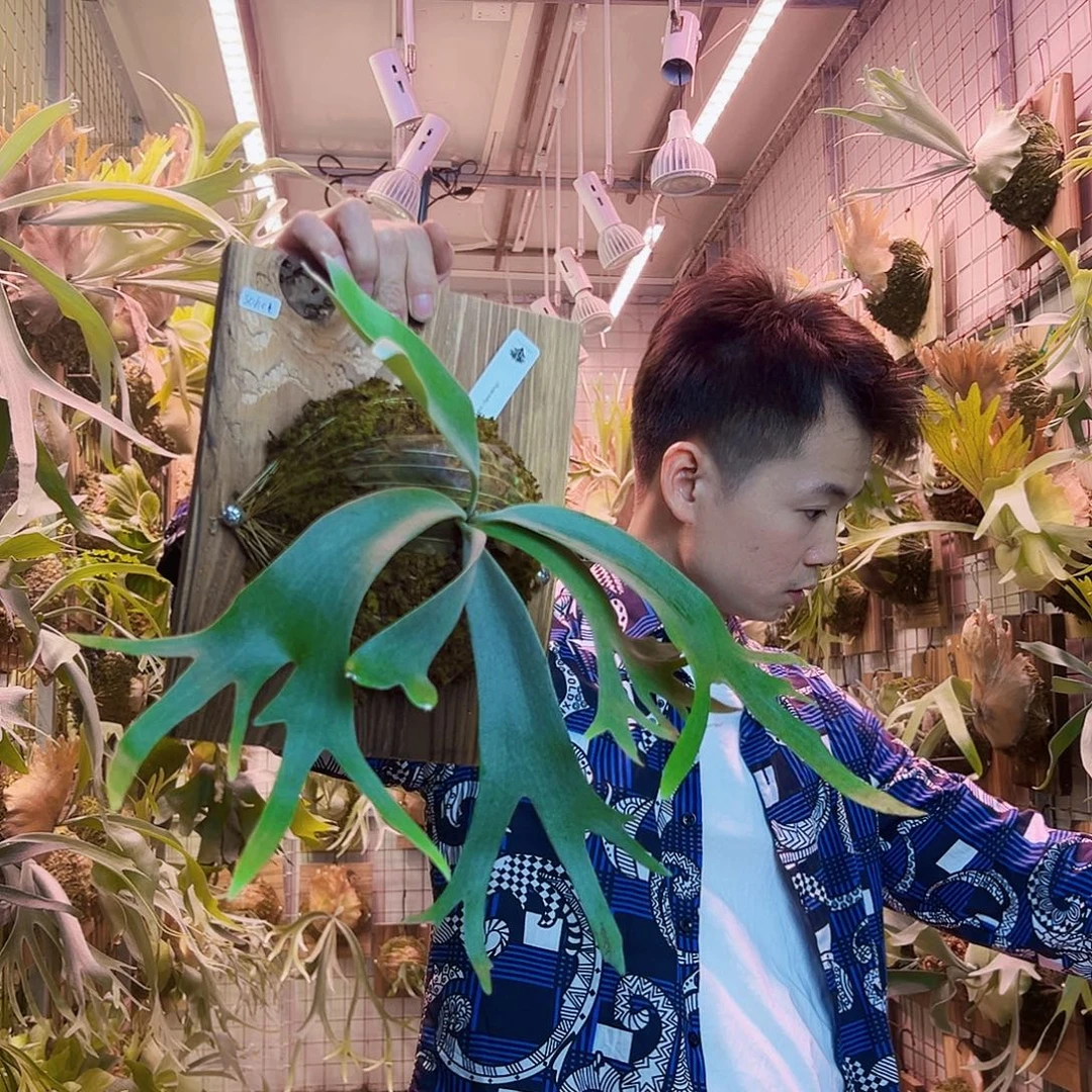 无花朵一soho。 a23