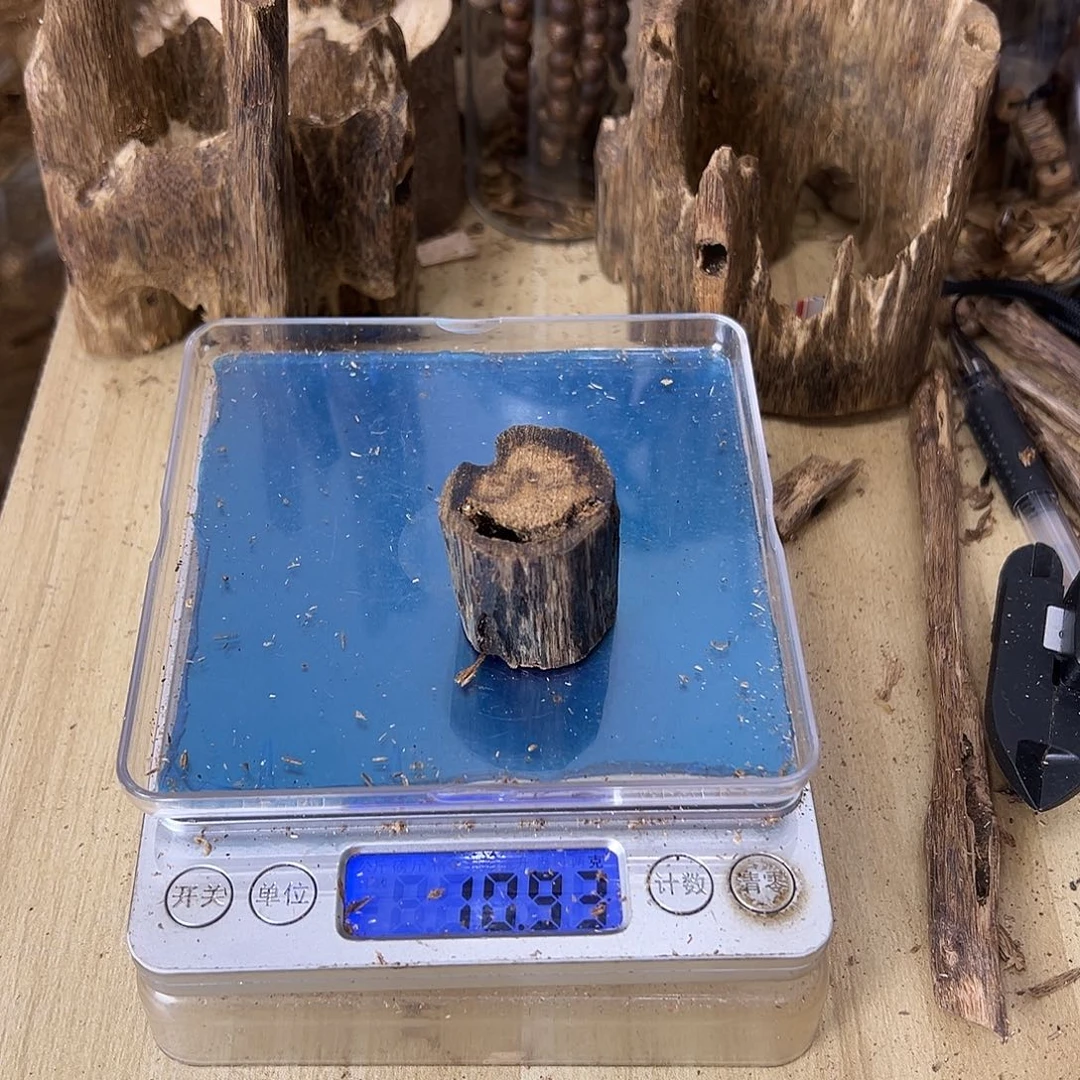 香料绿奇楠虫漏10克乌身