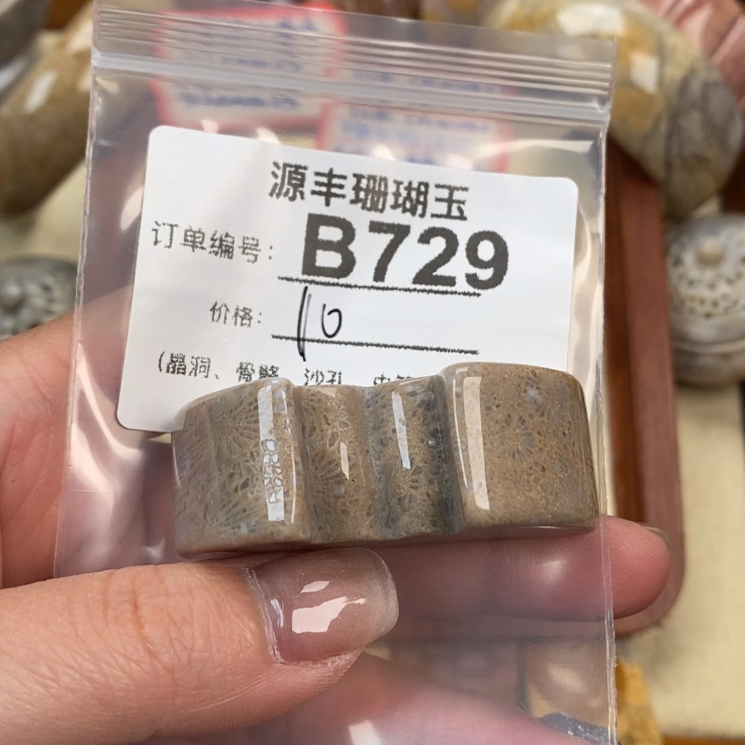 硅化玉颈饰未镶嵌子**月