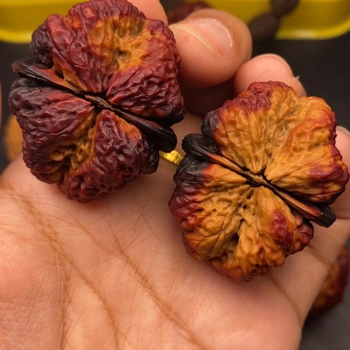 文玩核桃把件42尺蝴蝶蟾