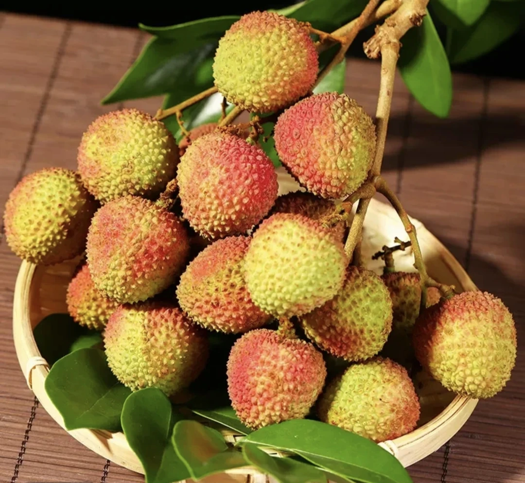 自家果园妃子笑荔枝清甜多汁皮肉厚现摘现 10斤广东省内包邮