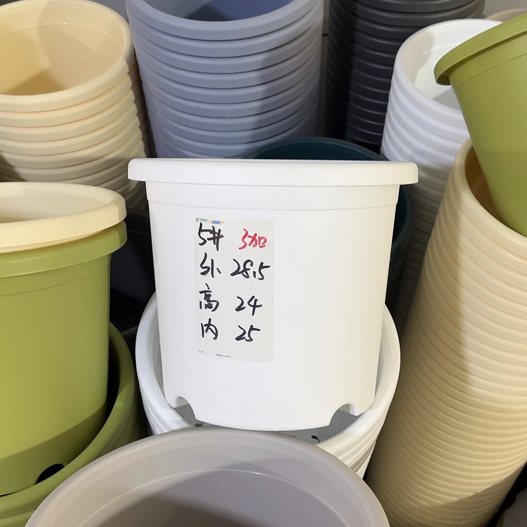 微瑕5号6个无托,白色