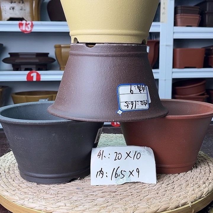 花盆紫砂你在一起