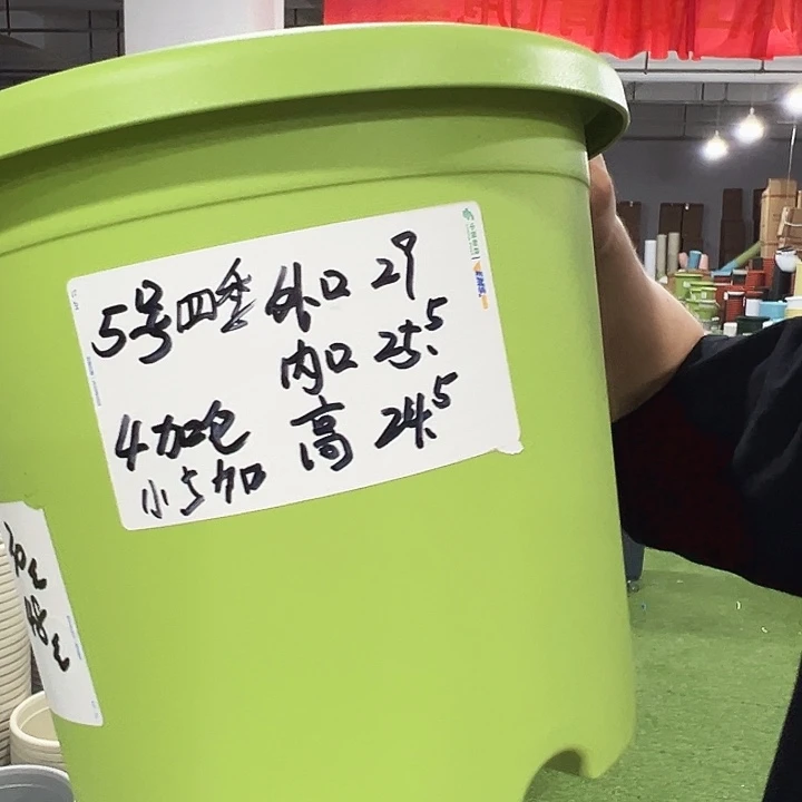 特价5号口29高24.5果绿无托6只