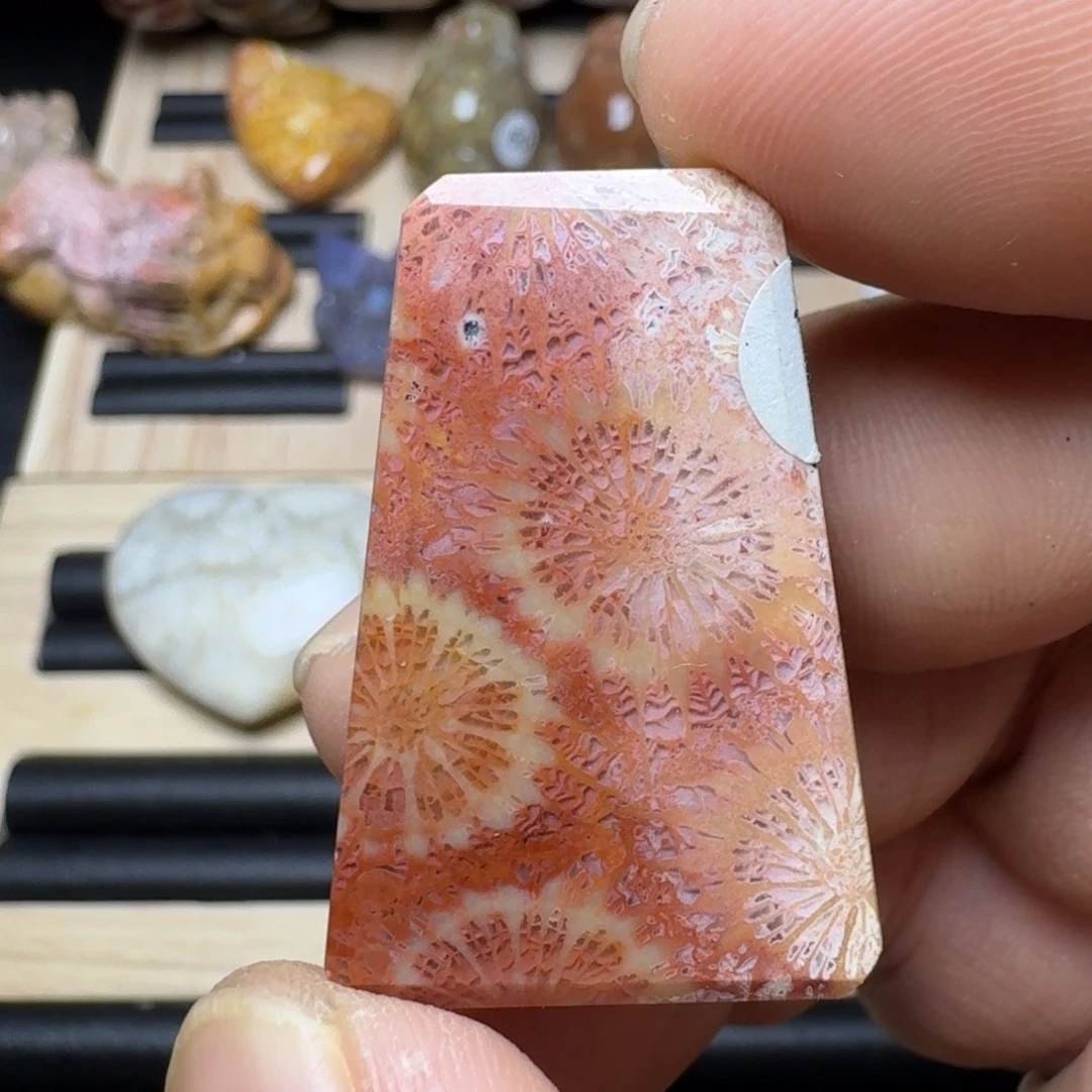 未镶嵌纯天然色有机玉石保真色硅化玉