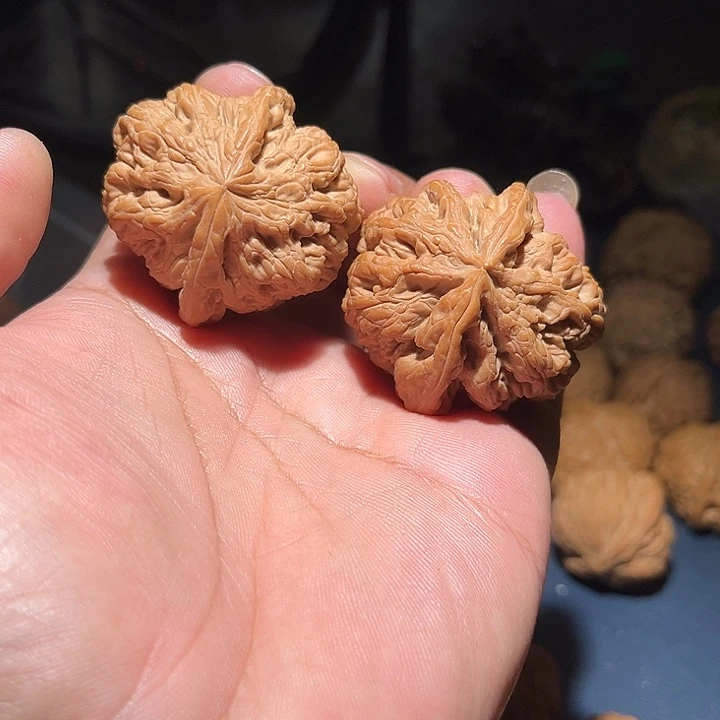 木43.5精品大克重粗筋