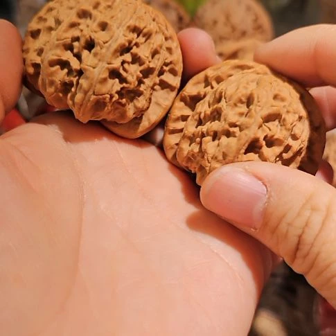 文玩核桃吊坠44.5白狮子