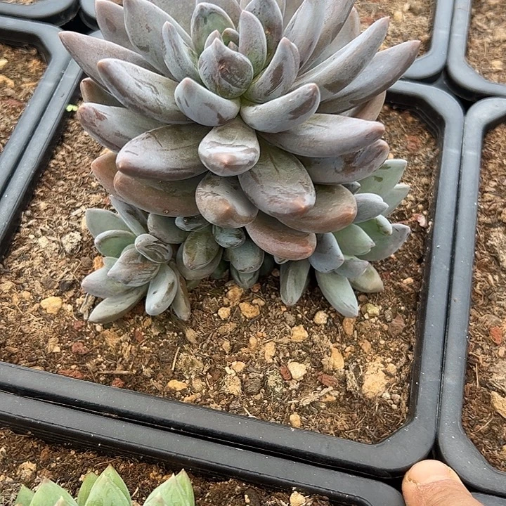 忘记名字了1111111111