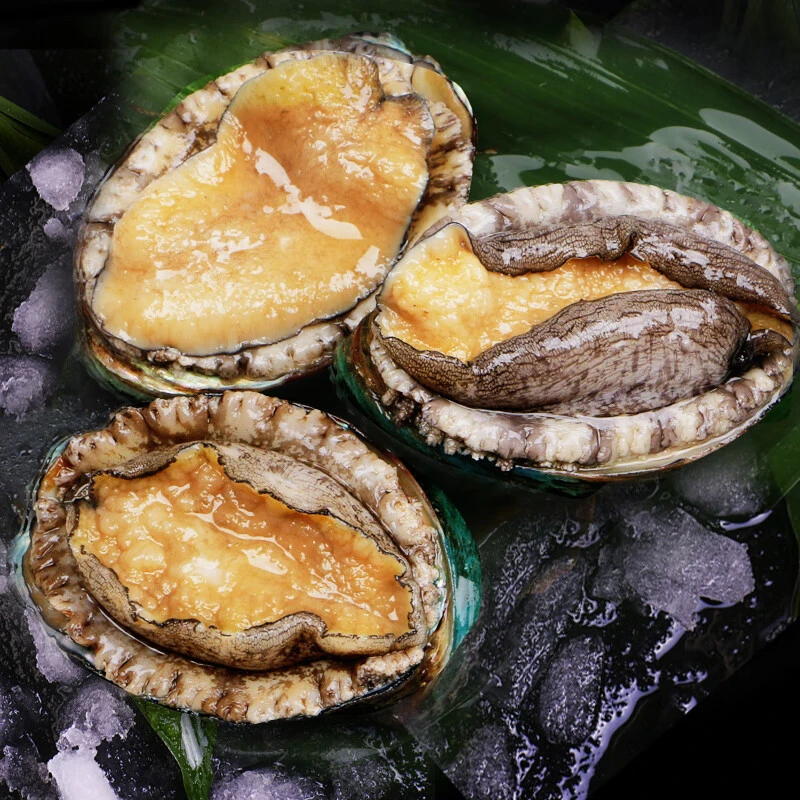 鲜活冷冻鲍鱼（10-12头鲍鱼）1盒8只 2盒  顺丰包邮