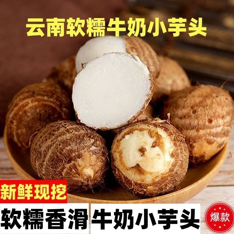 【新鲜现挖】云南牛奶小芋头软糯香甜毛芋头蔬菜香芋芋艿种子批发