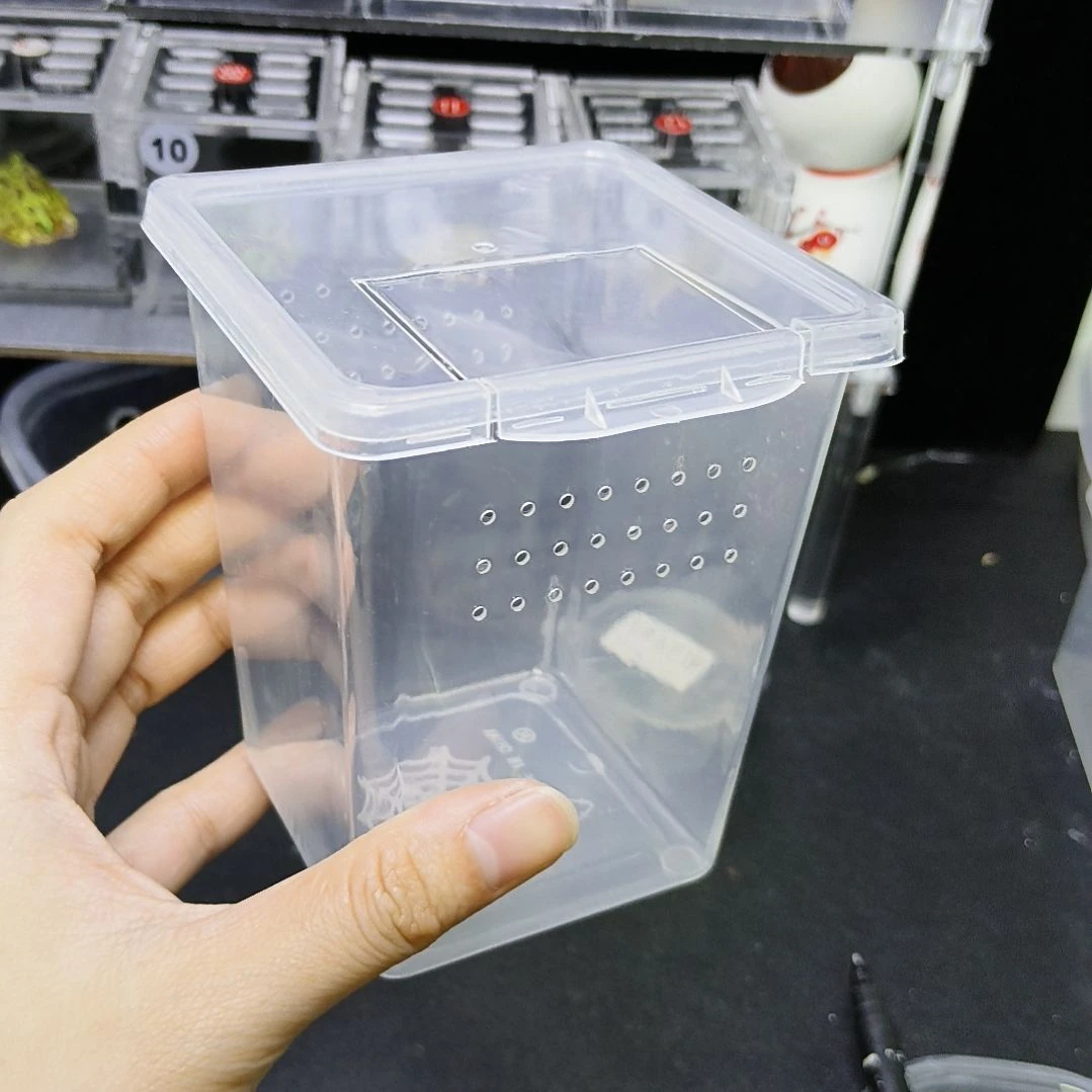 树蛙饲养盒专拍链接