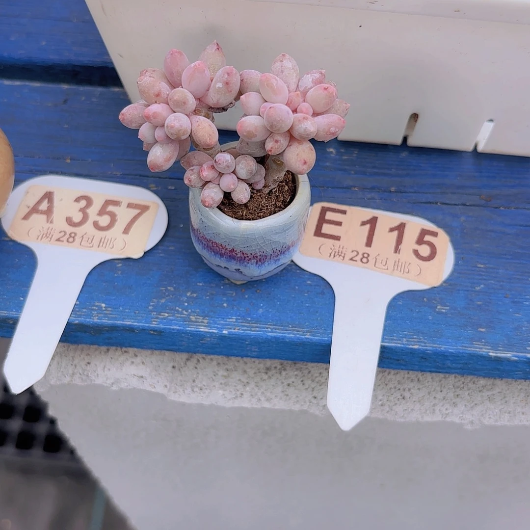 E115手指一物一拍