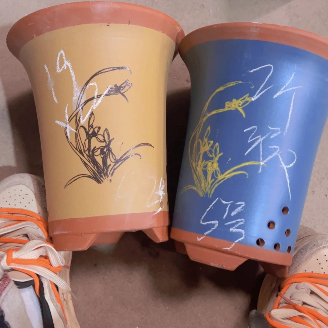 紫砂5………………………………