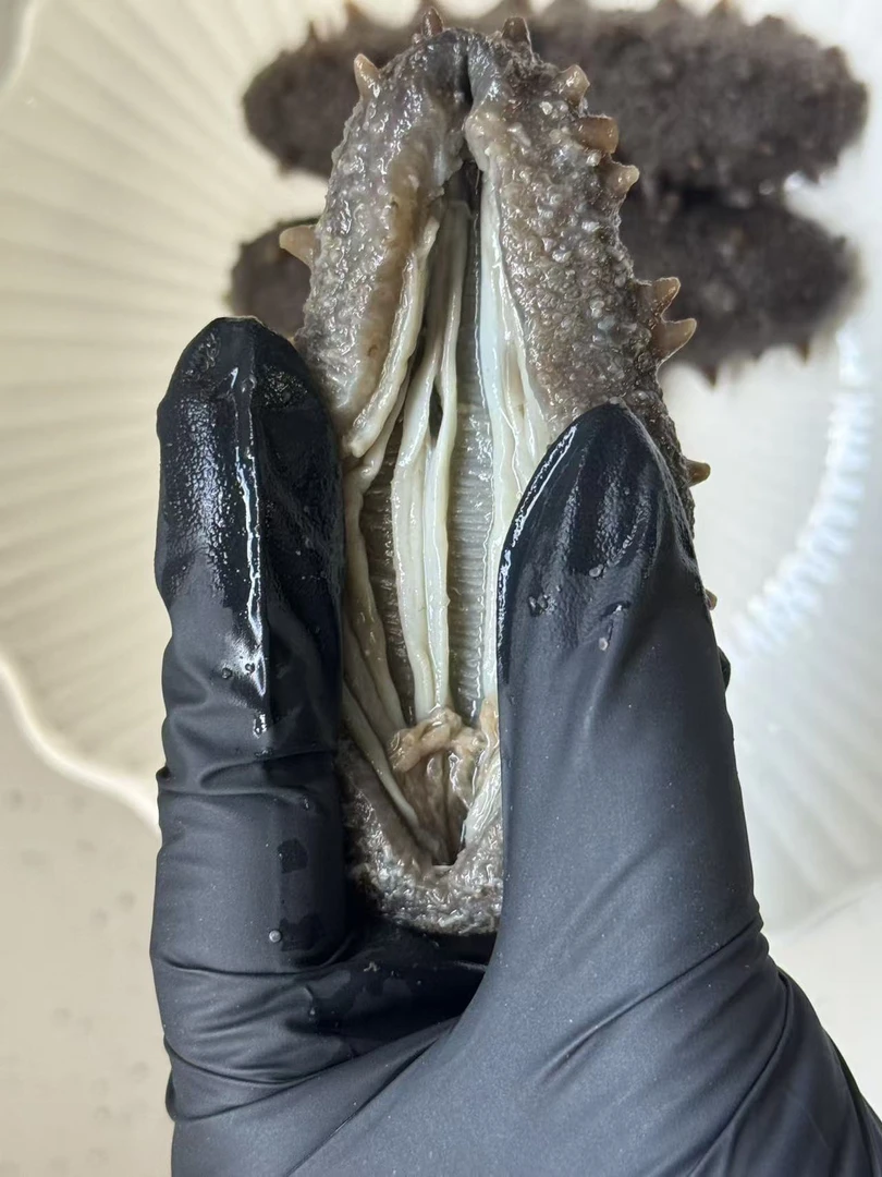 荣成石岛即食海参3只试吃全开口去牙嘴个头饱满口感Q弹海参