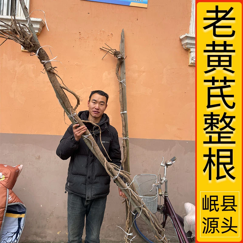 【直播改价】老黄芪老党参老红芪新货500克搭配西洋参枸杞泡水