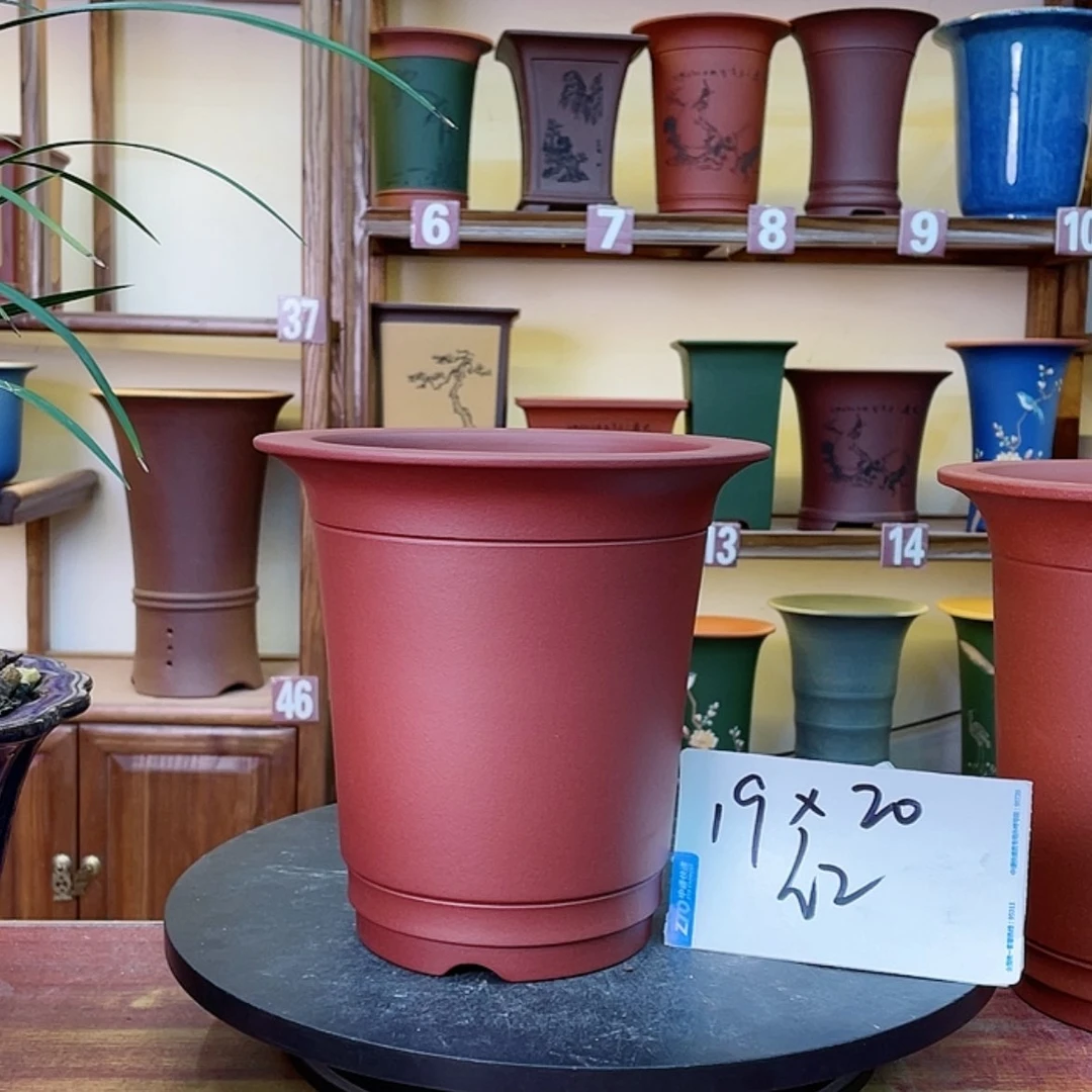 【闪购商品】紫砂花盆兰花552398555558425588