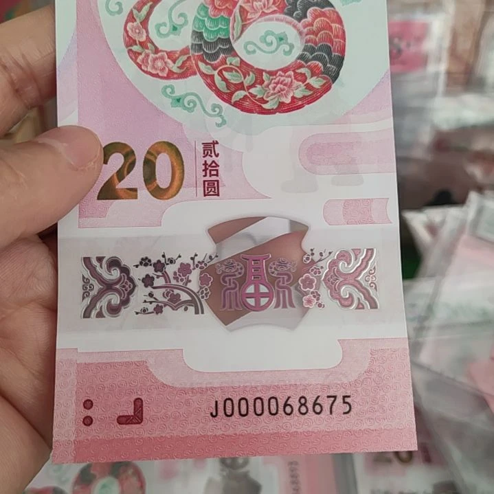 000068675蛇钞大司令塑料钞