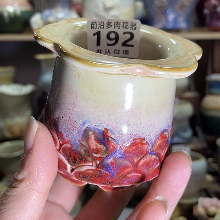 狼盆内口径5高度7