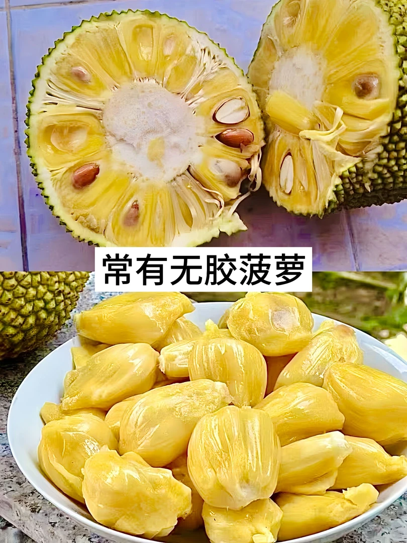 常有无胶菠萝茂名金苞菠萝高州珍珠菠萝蜂蜜味树上熟应季孕妇水果