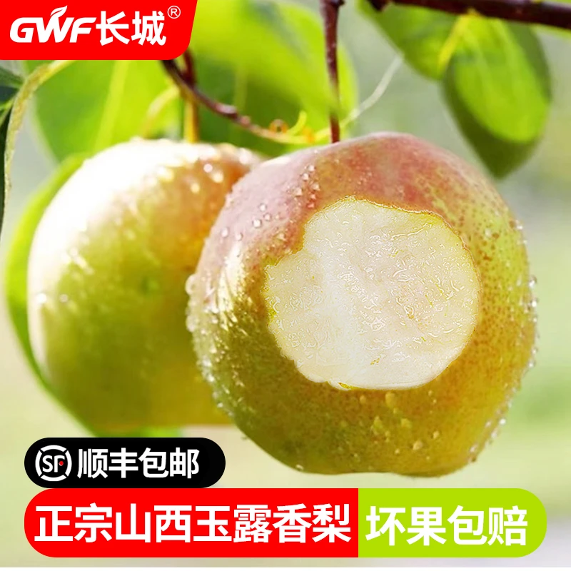 长城正宗山西隰县玉露香梨梨子新鲜水果礼盒当季整箱香酥梨雪梨