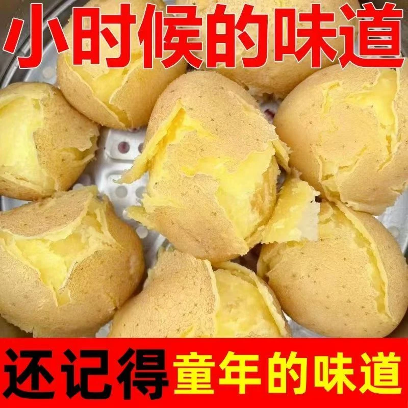 甘肃定西黄皮黄心旱沙地新鲜沙糯粉面土豆洋芋马铃薯整箱包邮