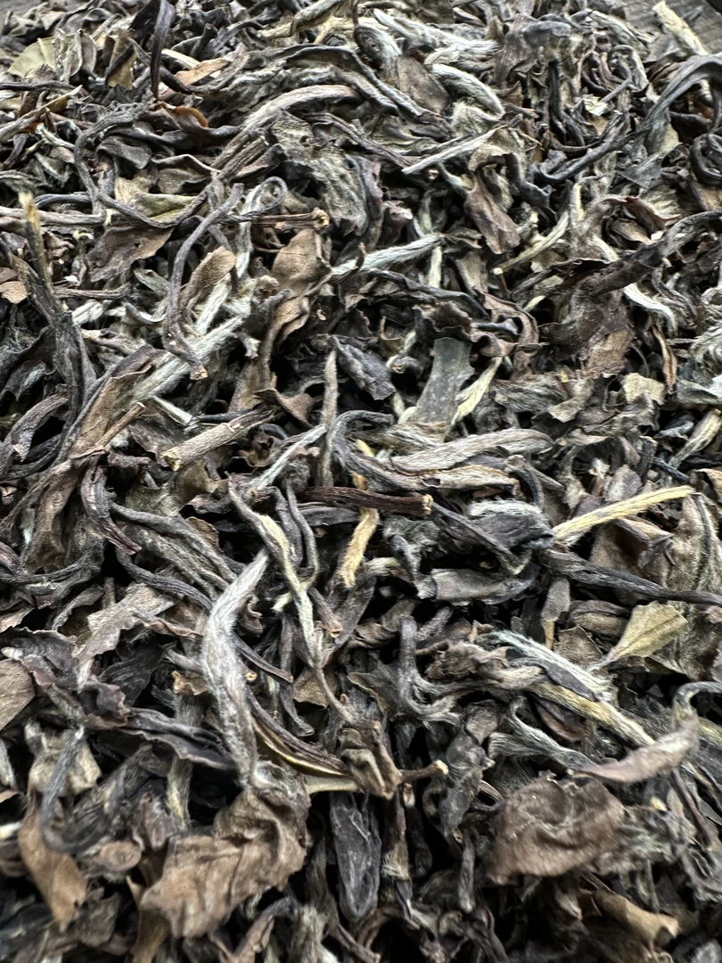 小吕2010年福鼎白茶（菜茶）老牡丹500克/箱