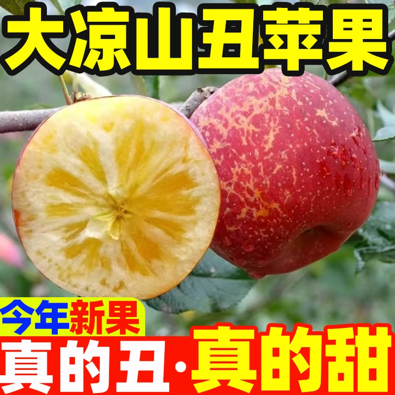 2025新鲜大凉山丑苹果冰糖心苹果水果当季整箱盐源四川红富士昭通