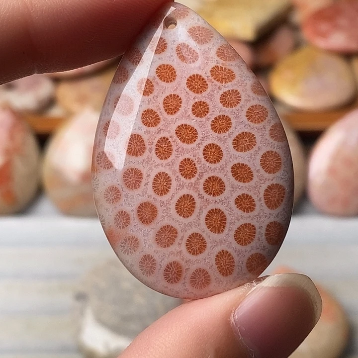 *****硅化珊瑚未镶嵌颈饰