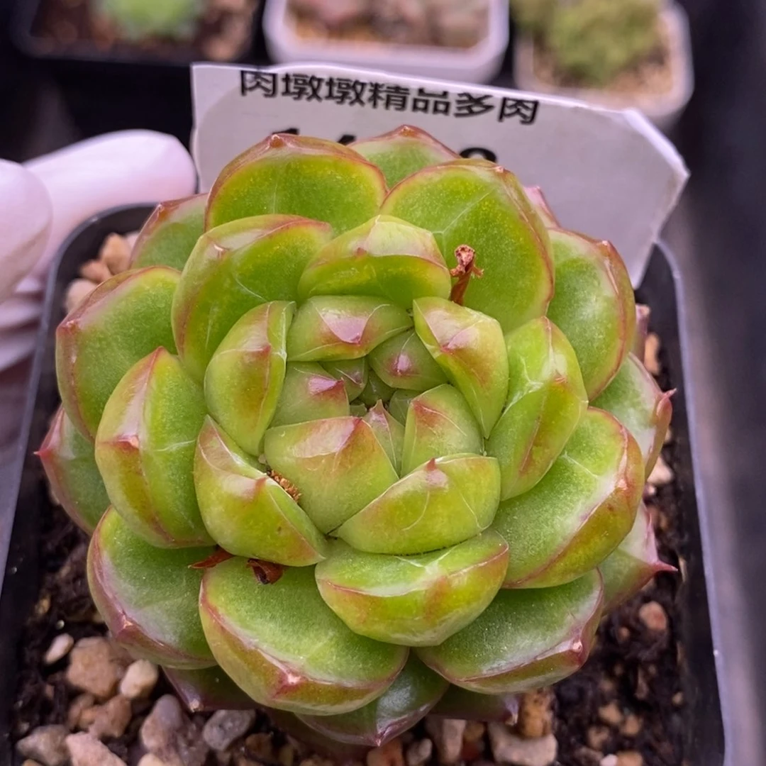 【闪购商品】14-28