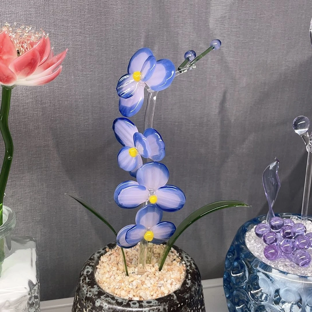 茶宠在这方面你的能力和水平有什么