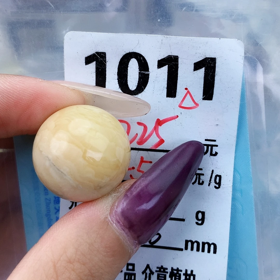 琥珀未镶嵌珠宝奇石20.6植物
