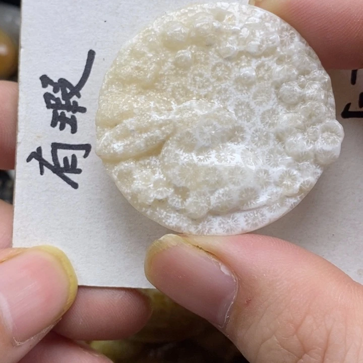 硅化珊瑚（珊瑚玉）未镶嵌颈饰