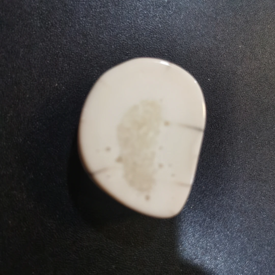 猛犸猛犸虬饼子WW272