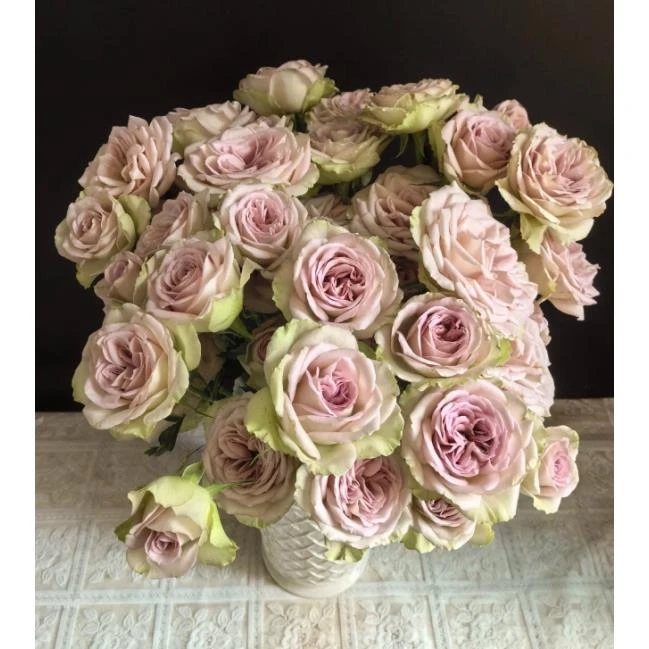 巴黎圣母院--多头玫瑰--高端复古（实物以直播间为准）